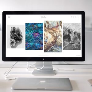 Winston starter choice website service